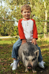 Pig and Boy