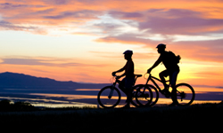 Bikes